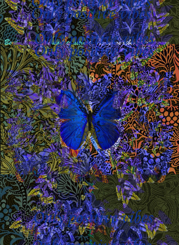 Forest Butterflies