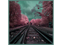 Railroad Tracks - Mila+Mate